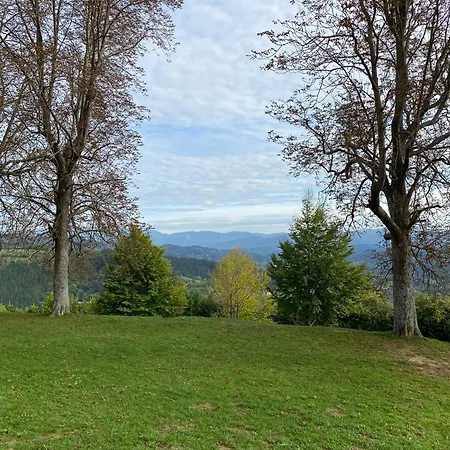 Homeoffice With Church Views *